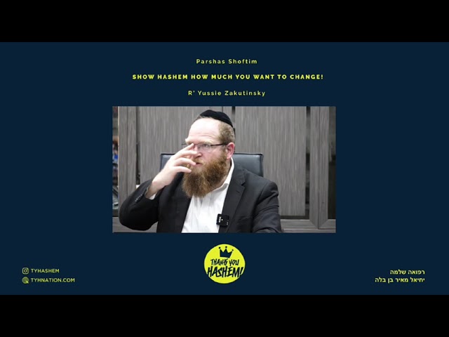 Parshas Shoftim