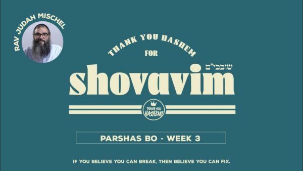 Shovavim | Parshas Bo – Week 3