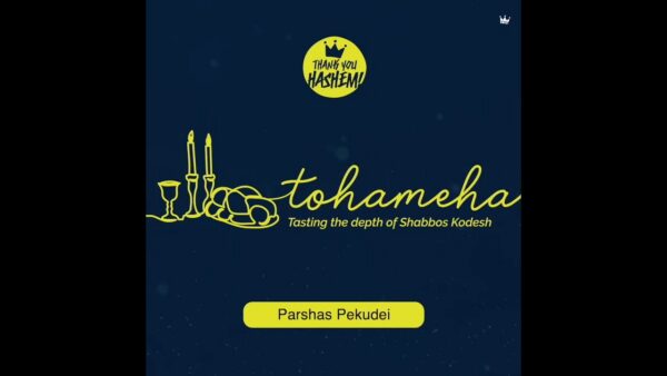 Tohameha / Pekudei
