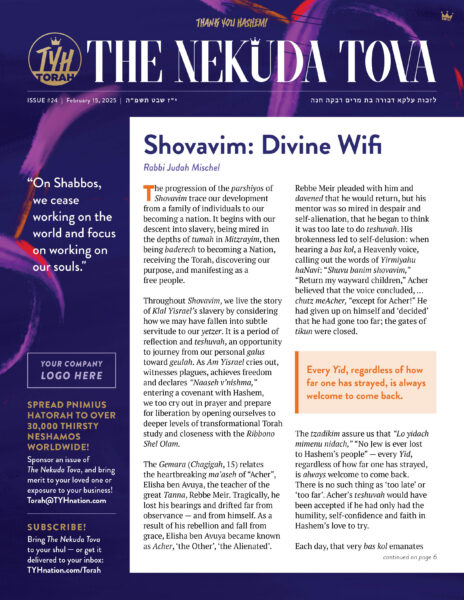 Issue 24
