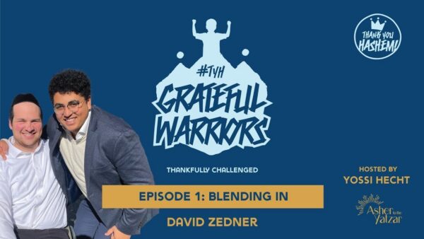 Blending In with David Zedner