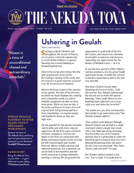Issue 29