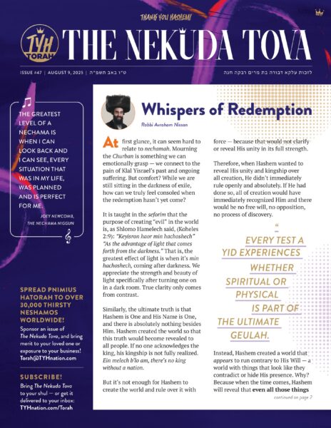Issue 47