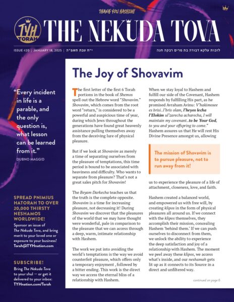 Issue 20