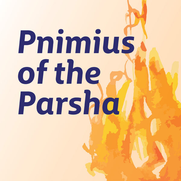 Pnimius of the Parsha
