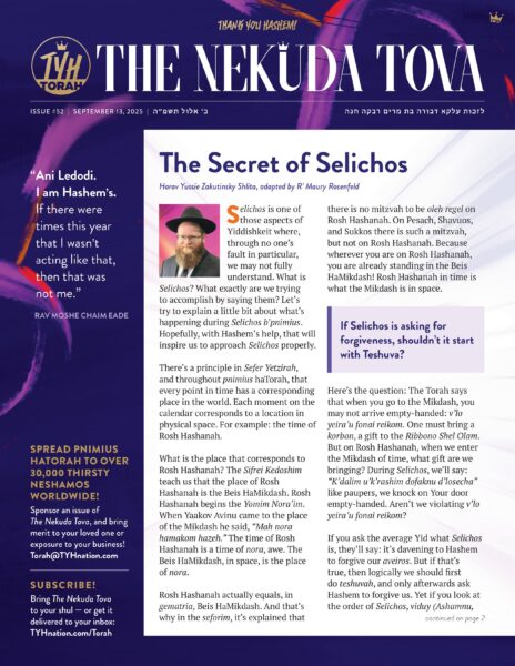 Issue 52