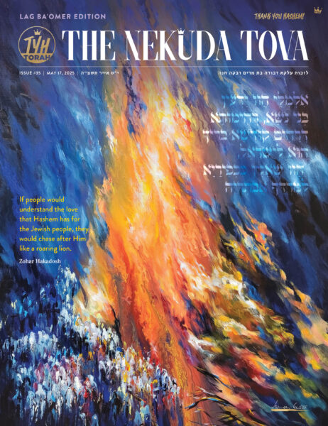 Issue 35 Lag Ba’omer Edition