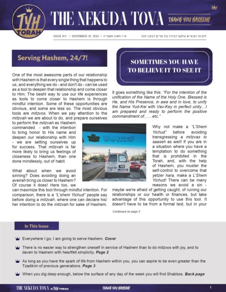Issue 11