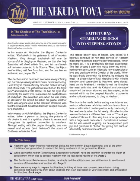 Issue 15