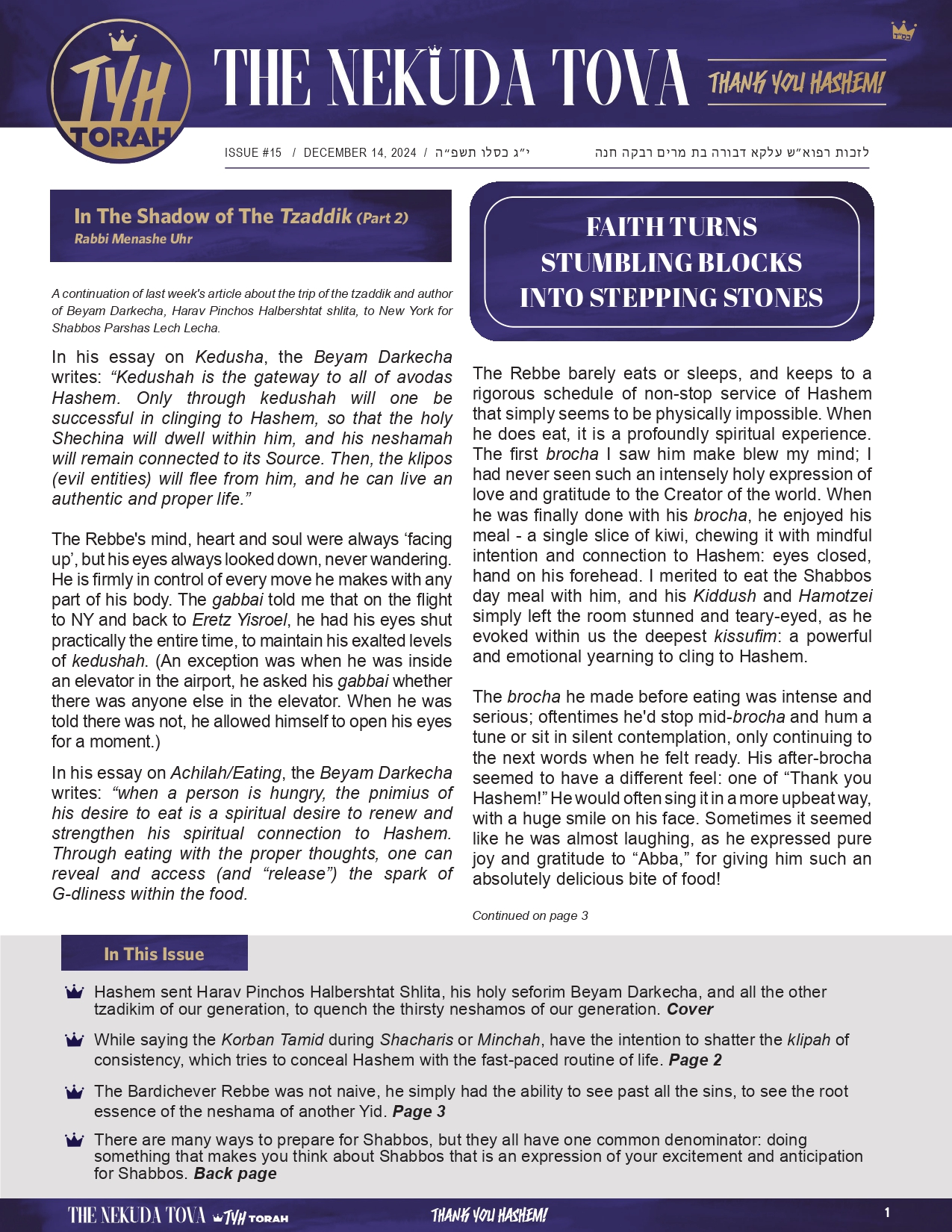 Issue 15
